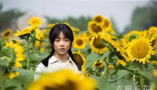 电影《青铜葵花》定档5月8日，金鸡奖双项提名儿童片 | 现场图